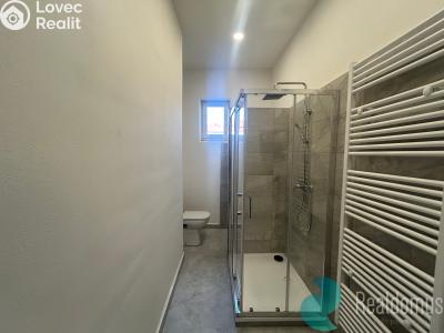 Rent apartment 2+1 České Budějovice, Mánesova č. 4