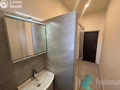 Rent apartment 2+1 České Budějovice, Mánesova č. 5