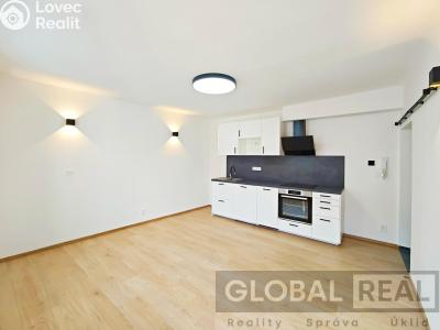 Pronájem bytu 1+KK Jihlava, Havlíčkova č. 1