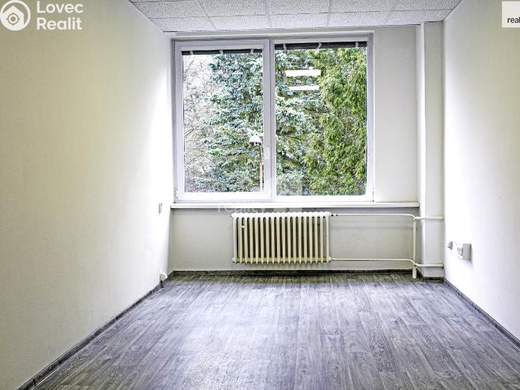 Pronájem kanceláře Ledeč nad Sázavou, Podolí č. 1