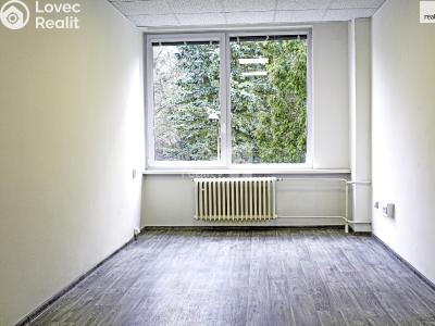 Pronájem kanceláře Ledeč nad Sázavou, Podolí č. 1