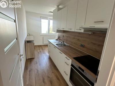 Pronájem bytu 1+1 Znojmo, Pražská č. 4