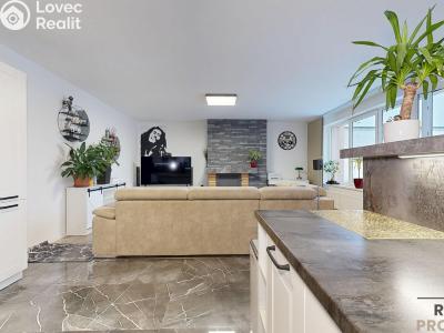 Продажа семейного дома Jihlava, Nová č. 4