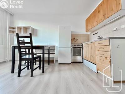Pronájem bytu 2+1 Praha, Bojasova č. 4