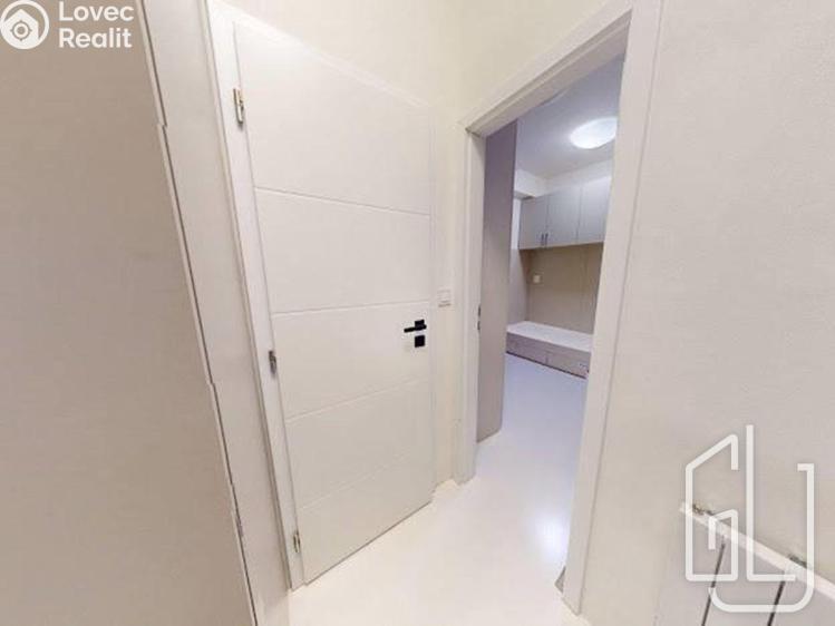 Pronájem bytu 3+KK Praha, Krakovská č. 9