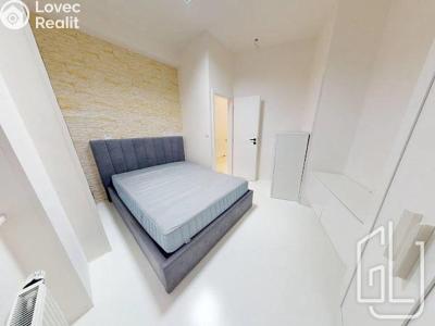 Pronájem bytu 3+KK Praha, Krakovská č. 1