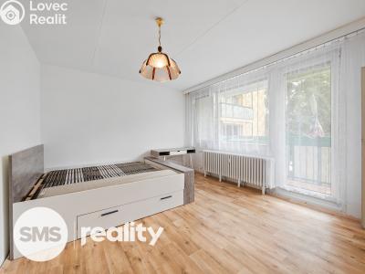 Pronájem bytu 1+1 Brno, Běloruská č. 1