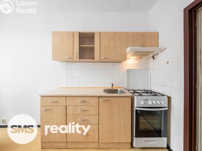 Pronájem bytu 1+1 Brno, Běloruská č. 3