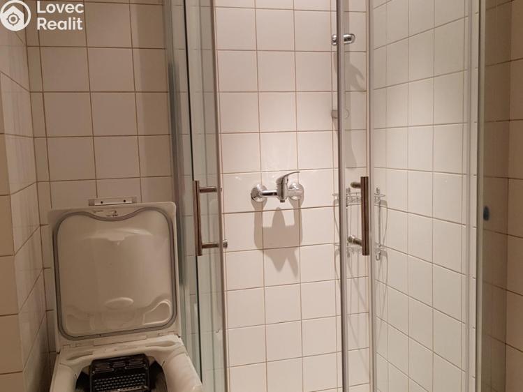 Pronájem bytu 1+1 Kladno, Vodárenská č. 4