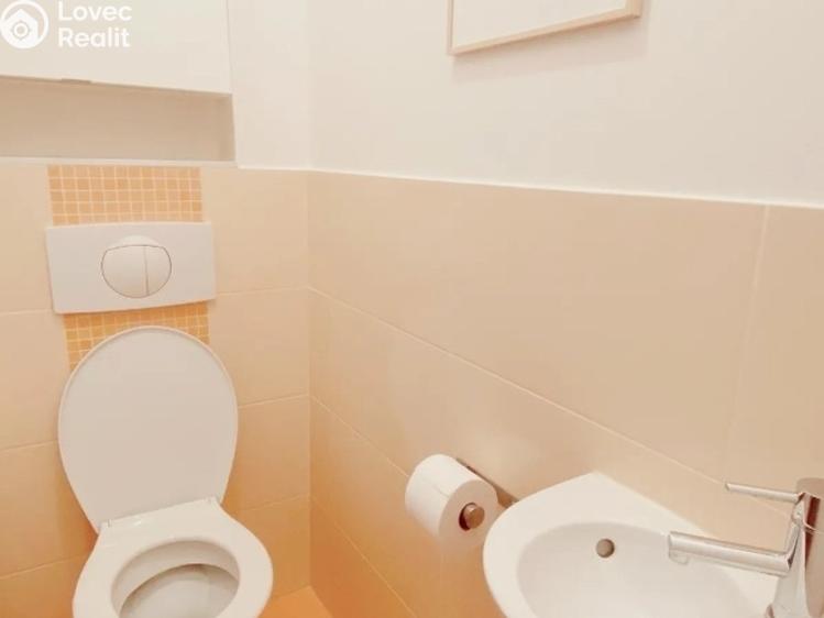 Pronájem bytu 3+KK Praha, Buchovcova č. 17