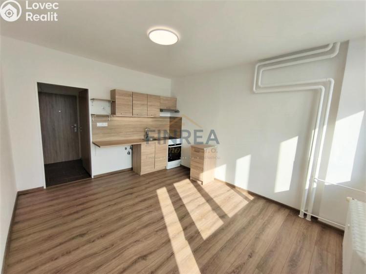 Pronájem bytu 1+KK Chomutov, Seifertova č. 10