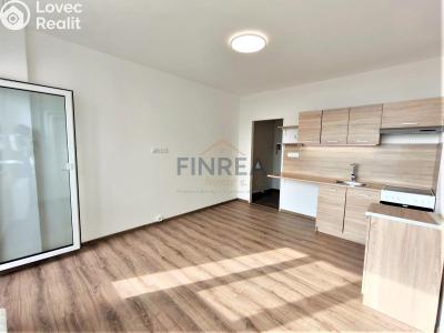 Pronájem bytu 1+KK Chomutov, Seifertova č. 1