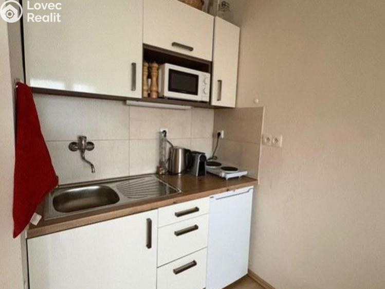 Pronájem bytu 1+KK Praha, V dolině č. 1