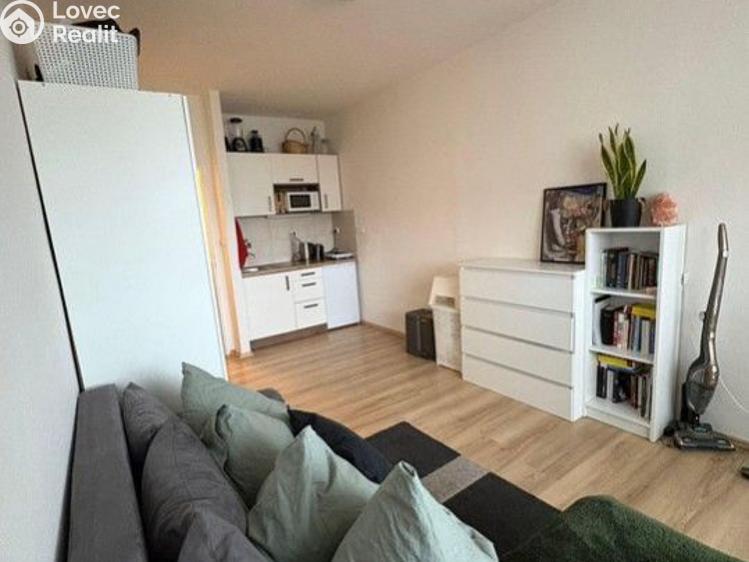 Pronájem bytu 1+KK Praha, V dolině č. 3