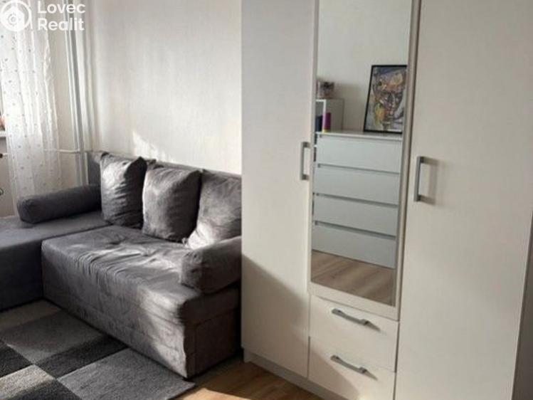 Pronájem bytu 1+KK Praha, V dolině č. 4