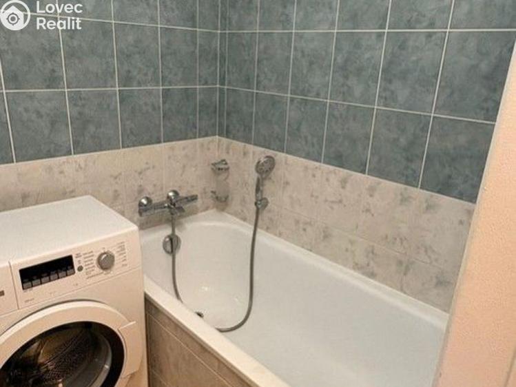 Pronájem bytu 1+KK Praha, V dolině č. 7