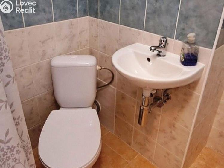 Pronájem bytu 1+KK Praha, V dolině č. 8