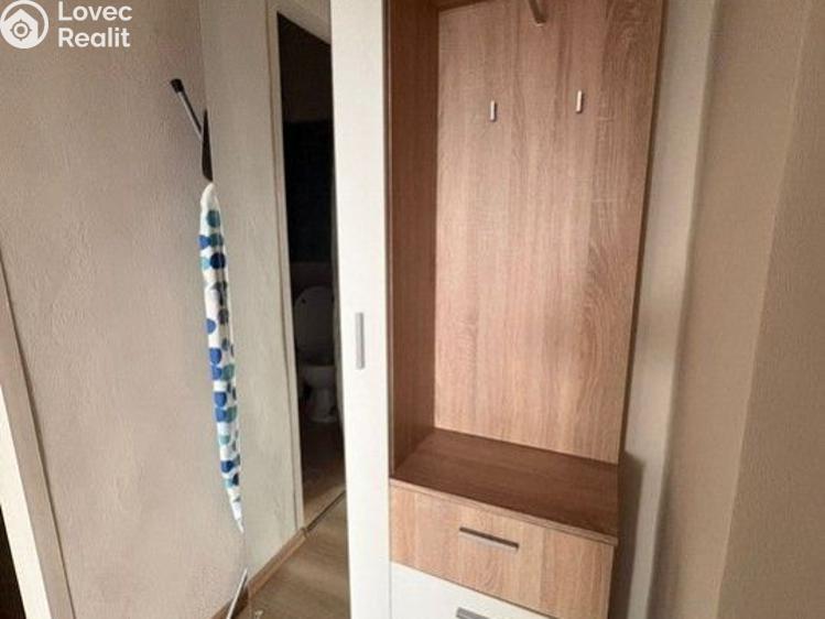 Pronájem bytu 1+KK Praha, V dolině č. 9