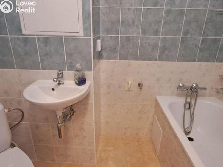 Pronájem bytu 1+KK Praha, V dolině č. 10