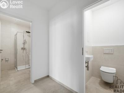Pronájem bytu 3+KK Pardubice, Teplého 1375 č. 3