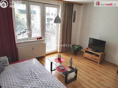 Аренда квартиры 1+KK Karlovy Vary, Nejdlova č. 2