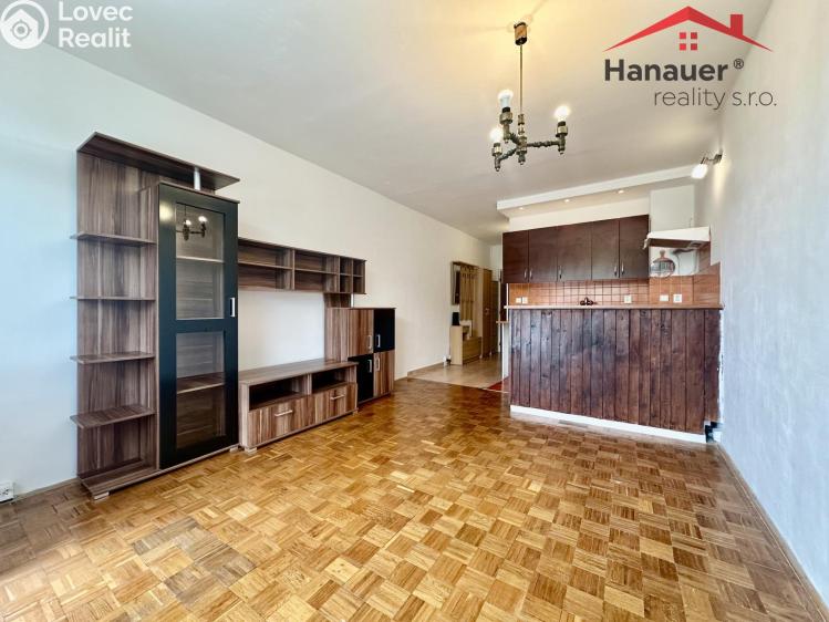 Rent apartment 1+KK Děčín, Žerotínova č. 3