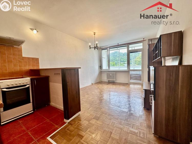 Rent apartment 1+KK Děčín, Žerotínova č. 11