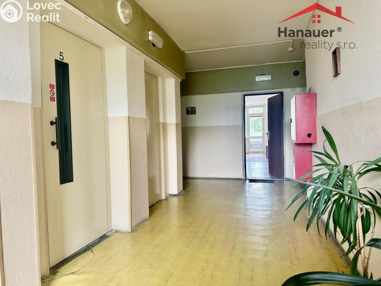 Rent apartment 1+KK Děčín, Žerotínova č. 12