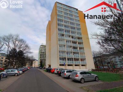 Rent apartment 1+KK Děčín, Žerotínova č. 1
