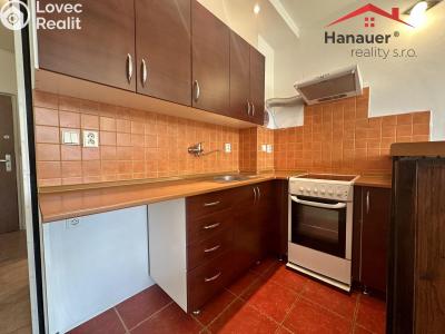 Rent apartment 1+KK Děčín, Žerotínova č. 4