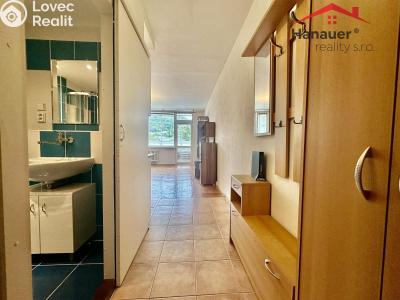 Rent apartment 1+KK Děčín, Žerotínova č. 6