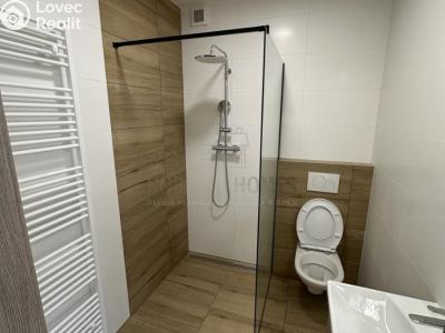 Pronájem bytu 1+KK Jenštejn, Kovářská č. 4