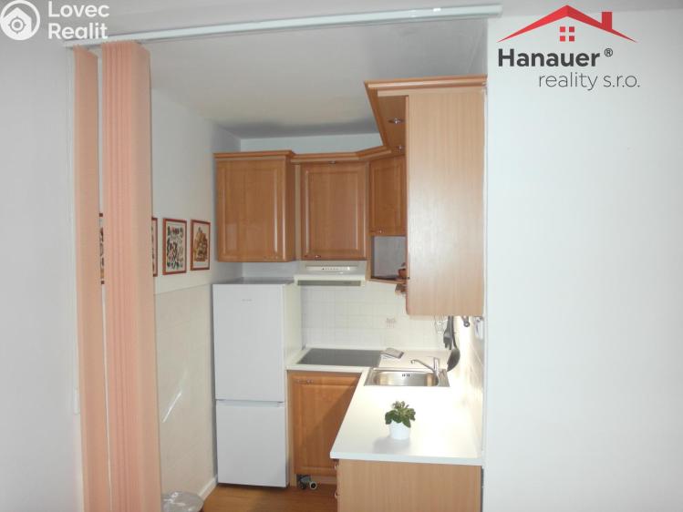 Pronájem bytu 2+KK Litoměřice, Alfonse Muchy č. 8