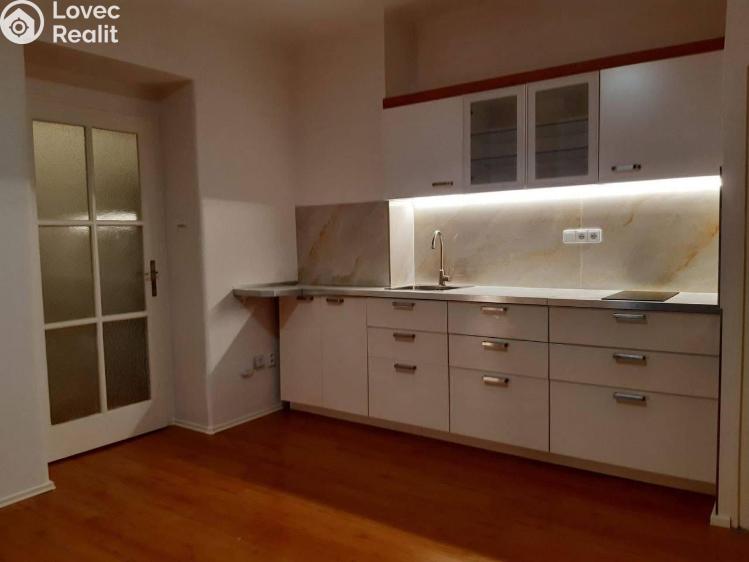 Pronájem bytu 1+KK Praha, Na dlouhém lánu č. 1