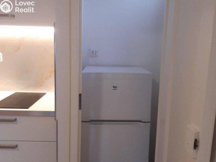 Pronájem bytu 1+KK Praha, Na dlouhém lánu č. 3