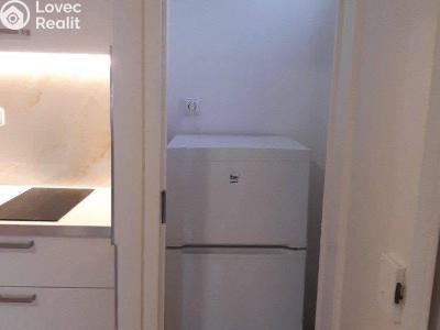 Pronájem bytu 1+KK Praha, Na dlouhém lánu č. 3