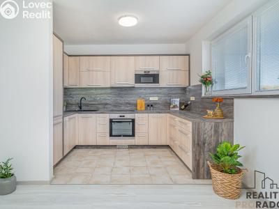 Pronájem rodinného domu Moravičany č. 3