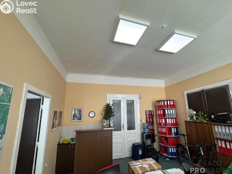 Rent office space Brno, Dominikánské náměstí č. 1