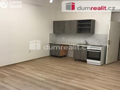 Pronájem bytu 1+KK Praha 8, Šaldova č. 1