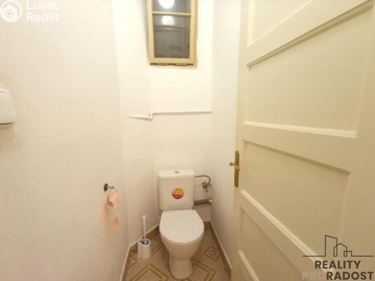 Rent apartment 2+1 České Budějovice, Klavíkova č. 10