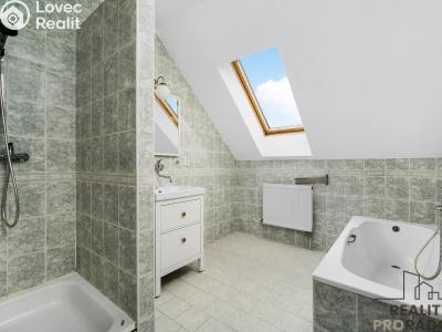 Sale apartment 3+KK Poděbrady, Budovcova č. 5