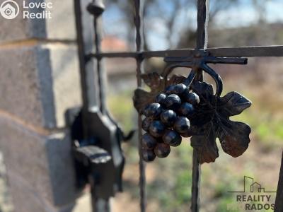 Sale wine cellar Prušánky č. 3