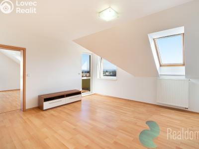 Prodej bytu 3+KK České Budějovice, Lidická tř. č. 3