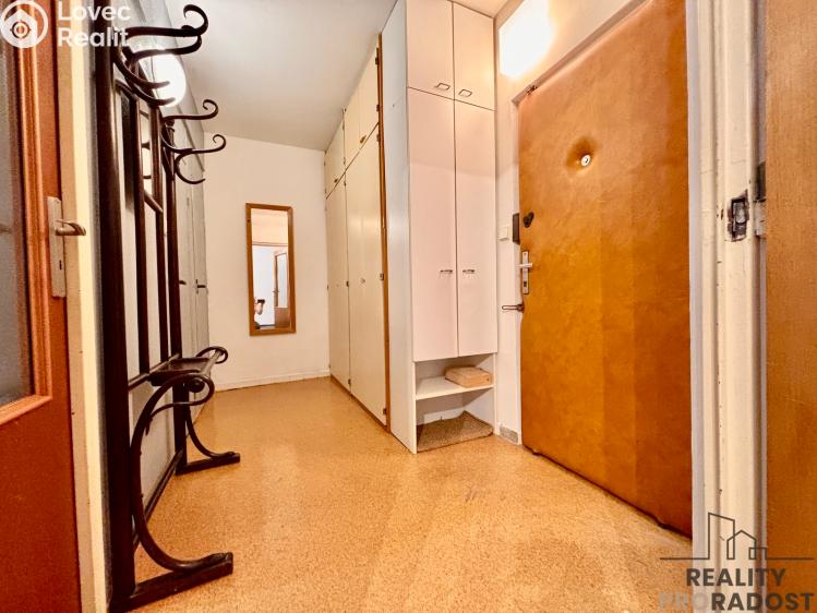 Pronájem bytu 1+1 Brno, Renčova č. 7