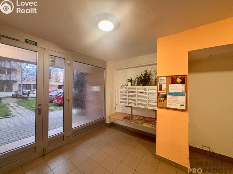 Pronájem bytu 1+1 Brno, Renčova č. 9