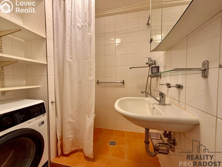 Pronájem bytu 1+1 Brno, Renčova č. 13