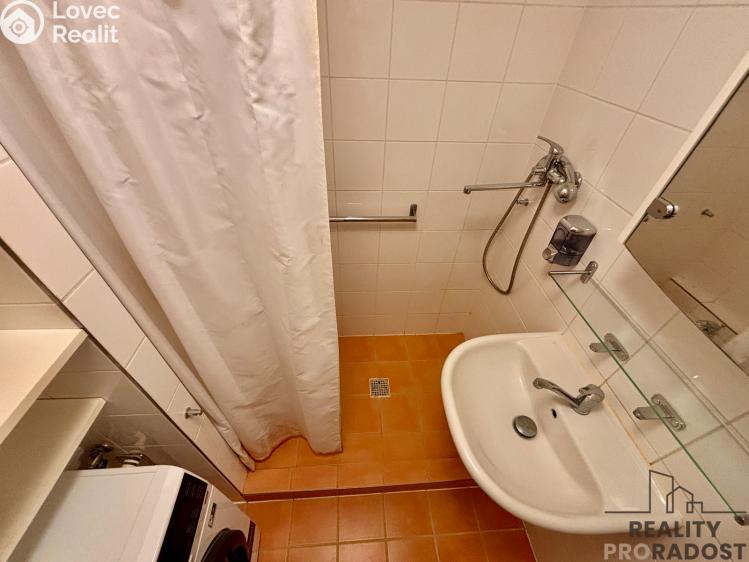 Pronájem bytu 1+1 Brno, Renčova č. 15