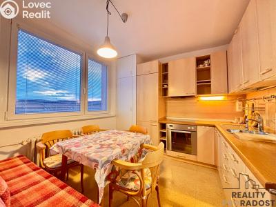 Pronájem bytu 1+1 Brno, Renčova č. 2