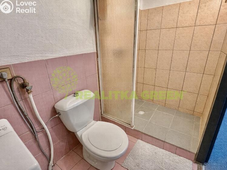 Pronájem bytu 1+KK Hrobice č. 3