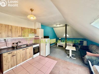 Pronájem bytu 1+KK Hrobice č. 1